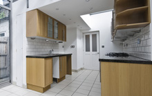 Worleston kitchen extension leads